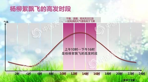 今年杨柳絮什么时候开始飘？为什么年年治理还是年年飞絮？